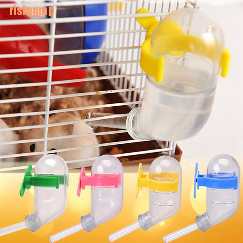 Bình Uống Nước Tự Động Cho Chuột Hamster 60ml