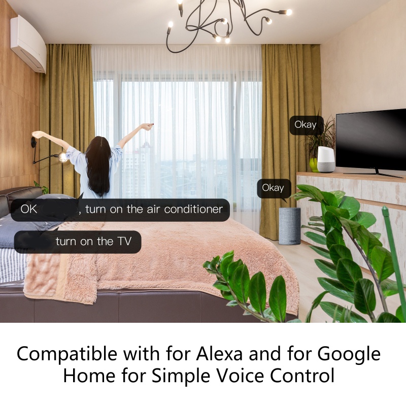 Điều Khiển Từ Xa Zigbee Thông Minh Cho Alexa Googles