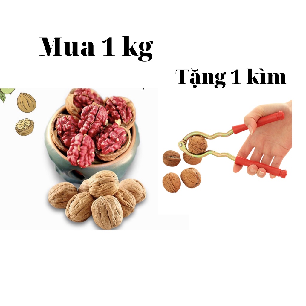 Hạt óc chó đỏ nguyên vỏ sấy khô túi 500g ăn vặt tốt cho mẹ bầu