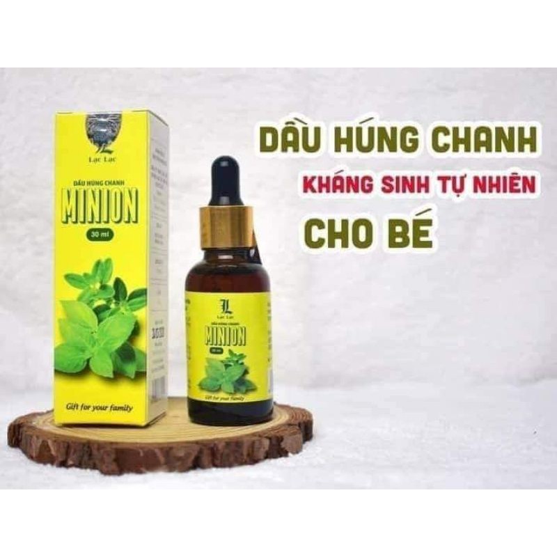 Dầu húng chanh minion