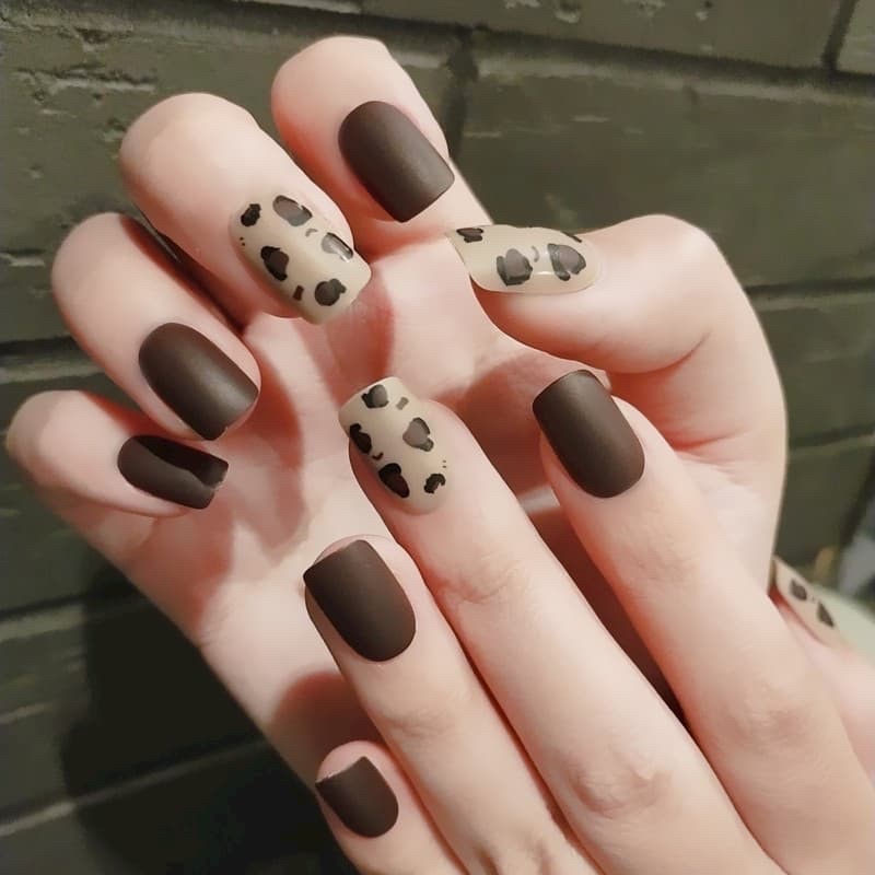 Sơn top lì hoa hồng chính hãng siêu lì mịn