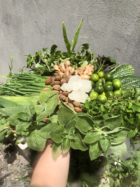 Siro Ho Quất Húng chanh Handmade 500ml (tặng 10 khẩu trang kháng khuẩn) | BigBuy360 - bigbuy360.vn