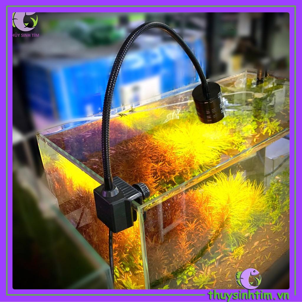 Đèn Rọi 3 Chế Độ Màu GEBO Dùng Cho Bể Cá, Bể Biotope