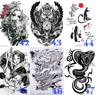 Set đồ Scan in hình xăm