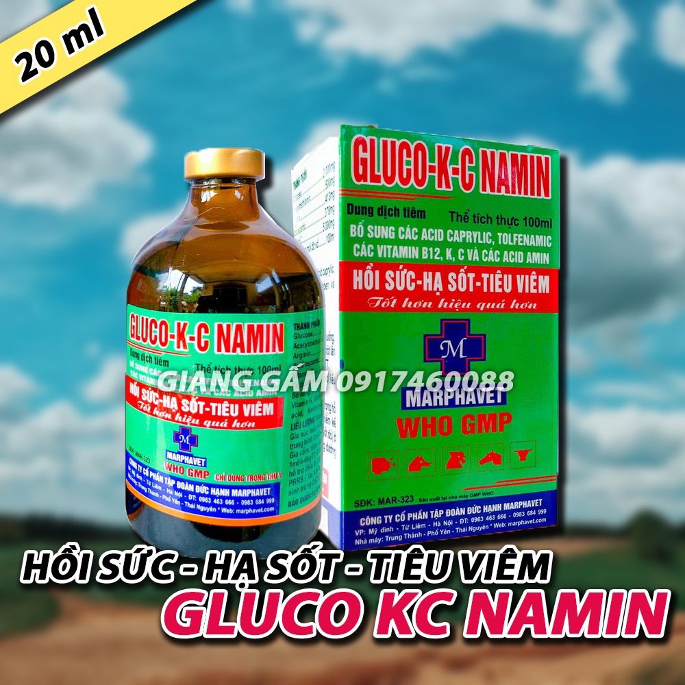 GLUCO KC NAMIN hồi sức, hạ sốt, tiêu viêm