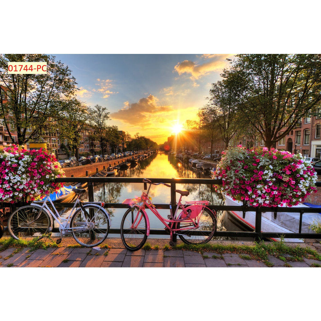 Tranhl dán tường trang trí phòng, QUÁN phòng khách hàn quốc