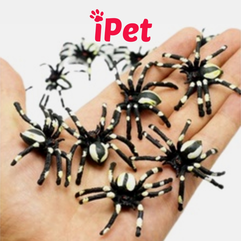 Con Gián Giả Đồ Chơi Cho Chó Mèo, Chơi Khăm - iPet Shop
