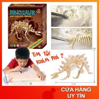 Mô hình Khủng Long - Hóa thân thành một nhà khảo cổ tài ba truy tìm dấu vết hóa thạch - Đồ chơi khảo cổ