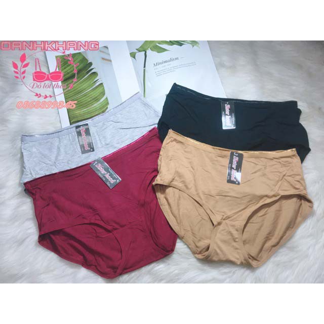 Quần Lót cotton big size Thái Lan Sisterhood thoáng mát mã 5134 - ThaiMarketBRA | BigBuy360 - bigbuy360.vn