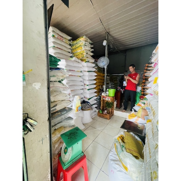 Gạo ST25 Gạo Thơm Cao Cấp