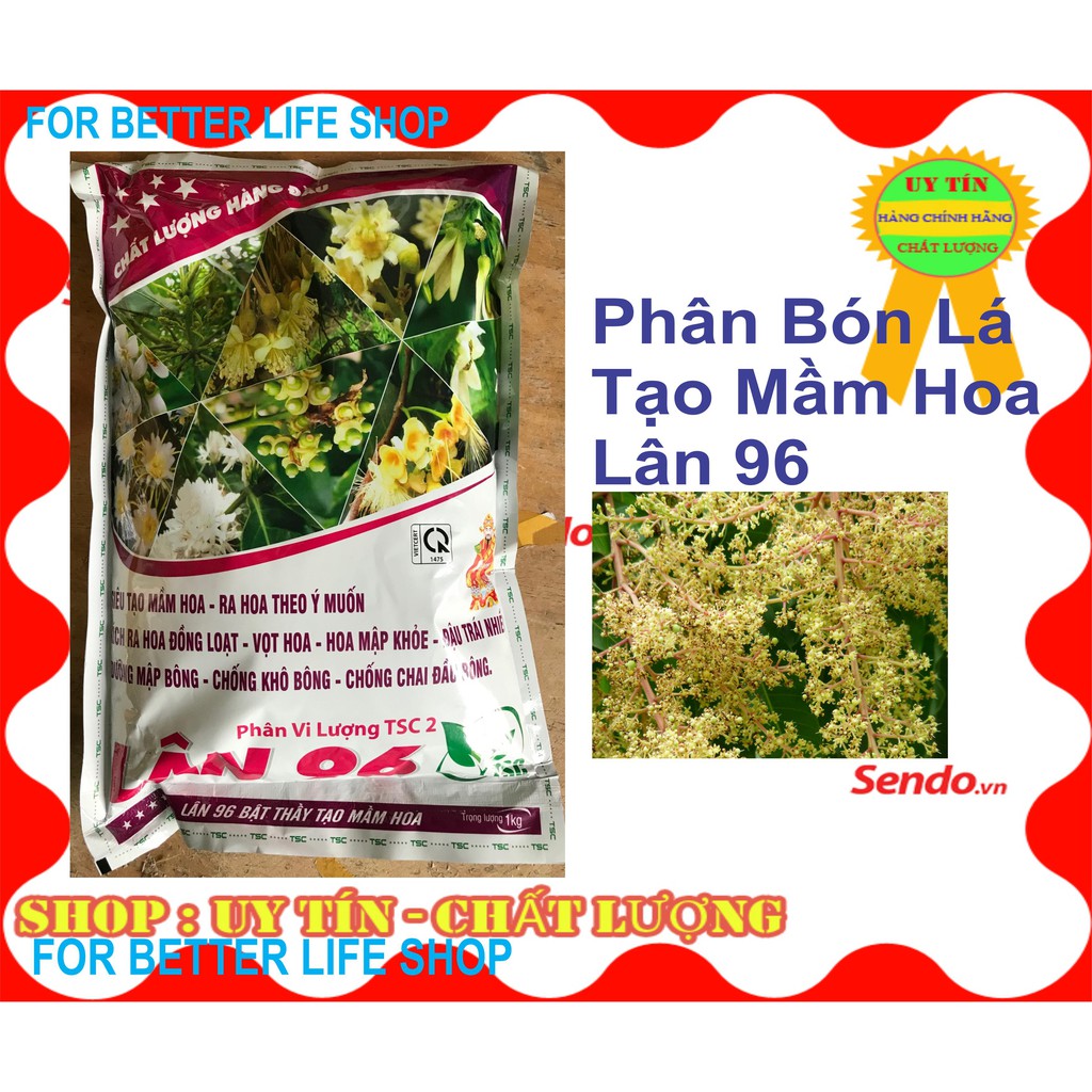 Phân Bón Lá Tạo Mầm Lân 96 Chuyên Tạo Mầm Cây Ăn Trái Túi 1kg