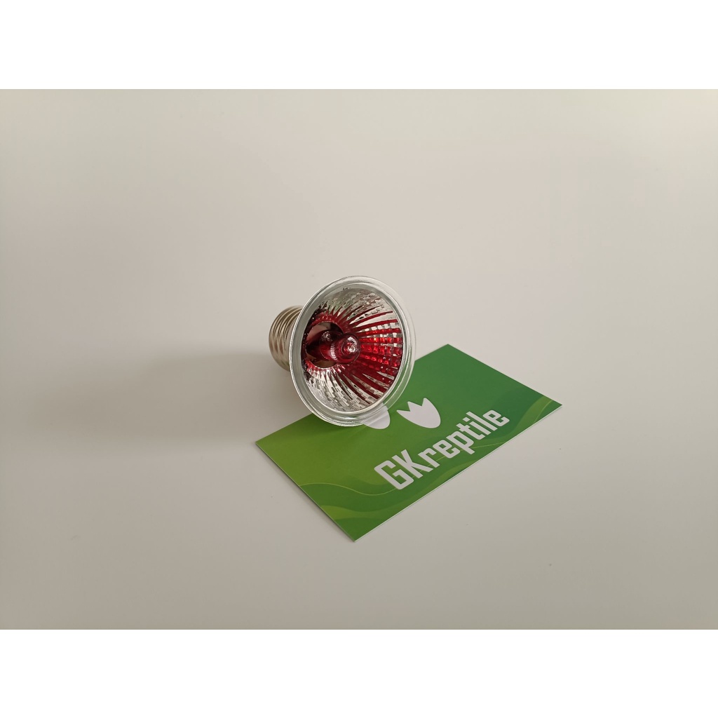 Đèn sưởi hồng ngoại , đèn sưởi cho thú cưng , chó mèo nhỏ