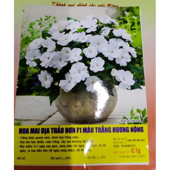 HẠT HOA MAI ĐỊA THẢO ĐƠN F1 MÀU TRẮNG - GÓI 0,1 GRAM