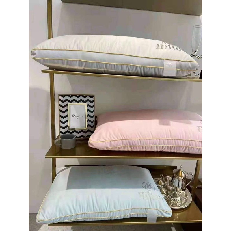 Freeship🌈 Cặp ruột gối H.I.L.T.O.N trần trám❤️ 48x74cm, 1,8kg❤️ hàng loại 1