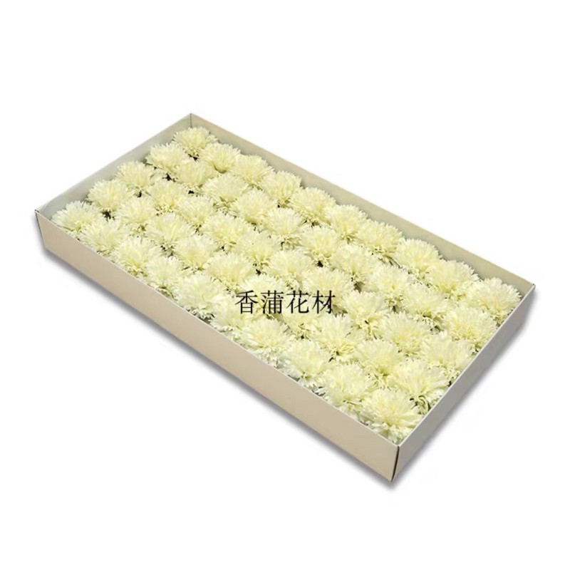 Hoa sáp cẩm chướng