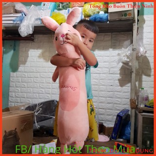Gối Ôm/Gấu Bông Dễ Thương (Thỏ, Ếch, Khỉ, Sư Tử)