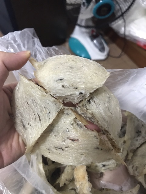 Yến sào nguyên tổ thô 10, 20gr+🎁 SHOPEE TRỢ GIÁ | BigBuy360 - bigbuy360.vn