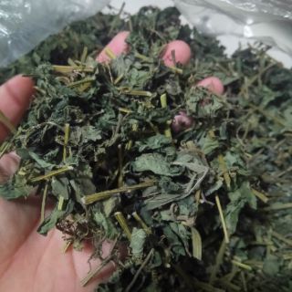 Giảo cổ lam - 1kg