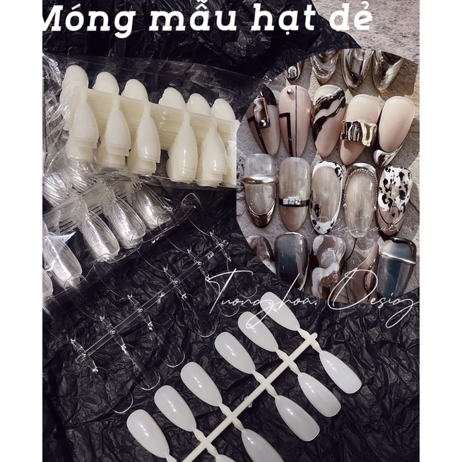 Móng Mẫu Nail Fom Hạt Dẻ .