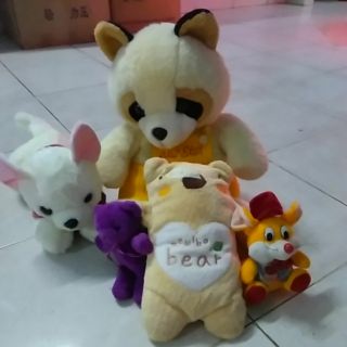 Gấu của Thanh Nguyễn