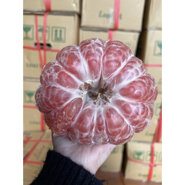 Bưởi da xanh Bến Tre