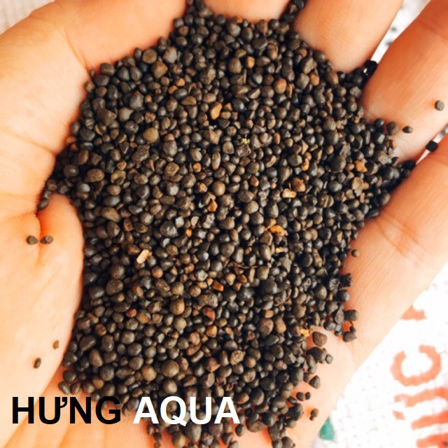 Sỏi suối nâu - sỏi suối trải nền trang trí bể cá cảnh, hồ cá thủy sinh, hồ nuôi tép (500g - 1kg)