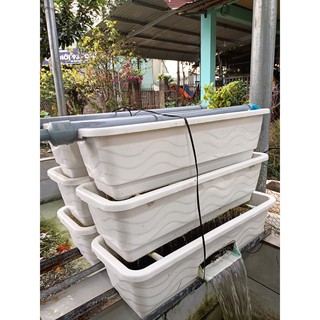 Baki Lọc Cá Koi 3 tầng + full vật liệu lọc - Cá Cảnh Bảo Long
