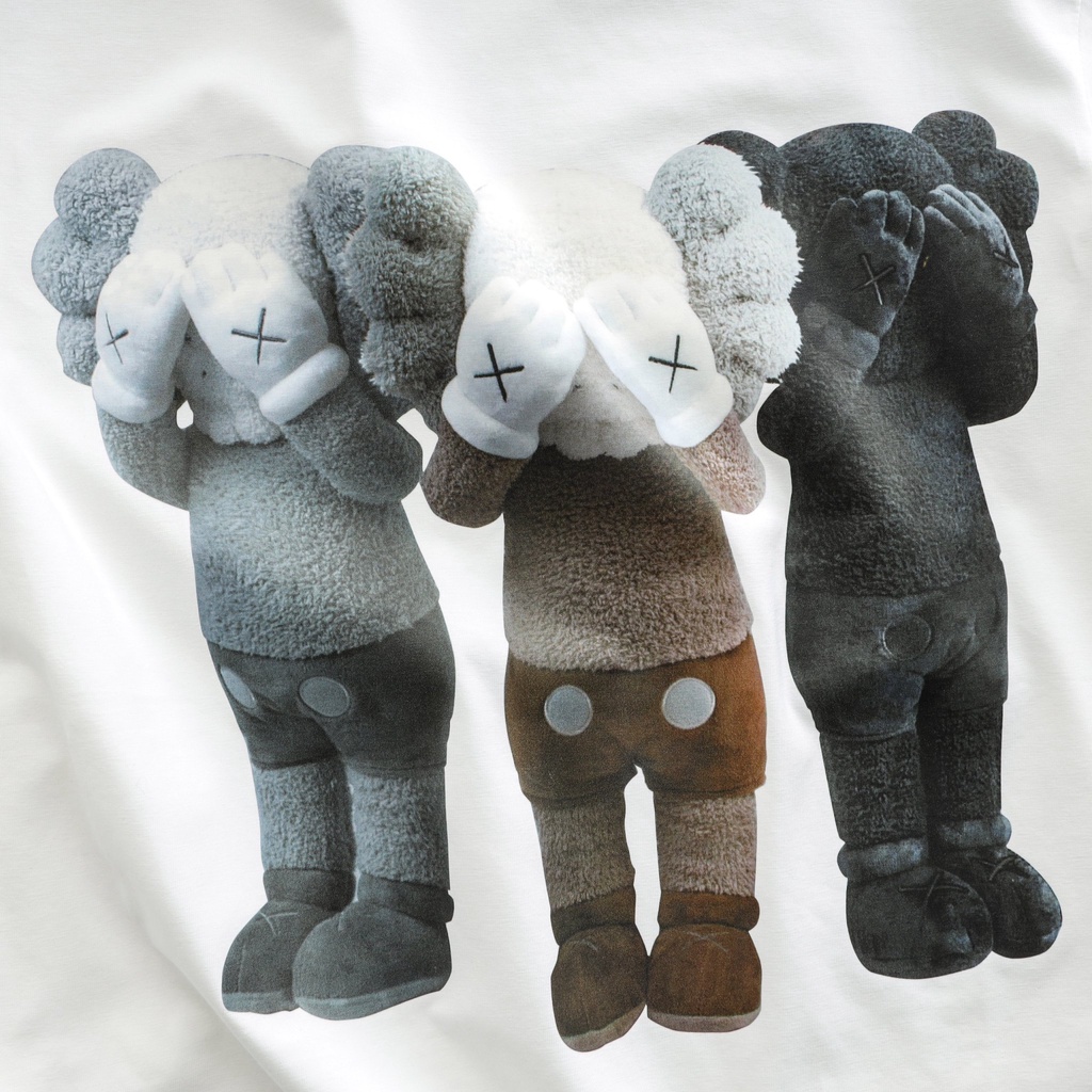 Áo Thun Phông Rộng Unisex basic tee tay ngắn dành cho nam nữ in The Champion KAWS