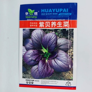 Hạt giống cải thìa tím (Nội địa Trung)