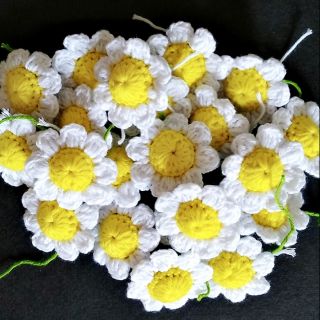 Hoa cúc xuyến chi