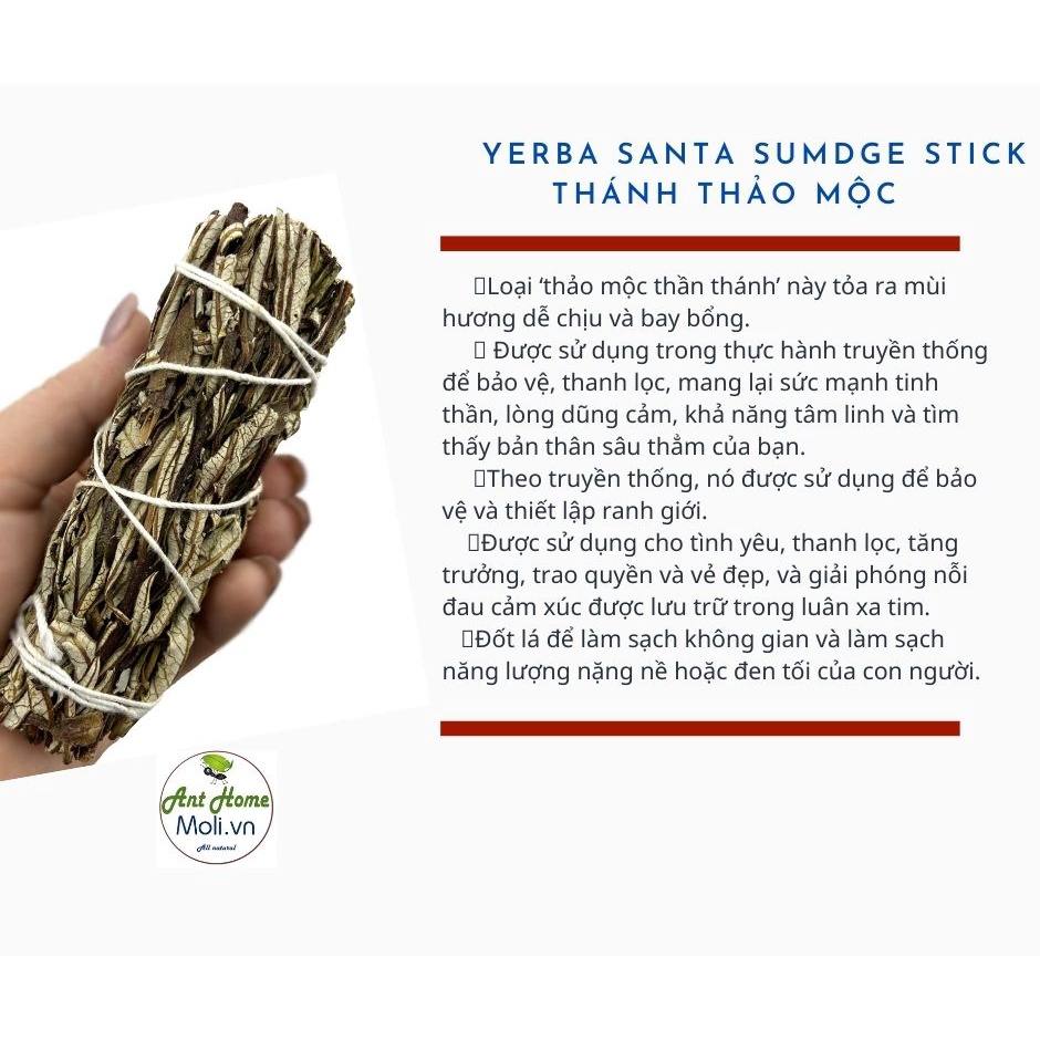 Bó lá xông nhà Yerba Santa - Thánh thảo dược xông nhà xua đuổi khí độc Yerba Santa ( Yerba Santa Smudge 3&quot;-4&quot;)