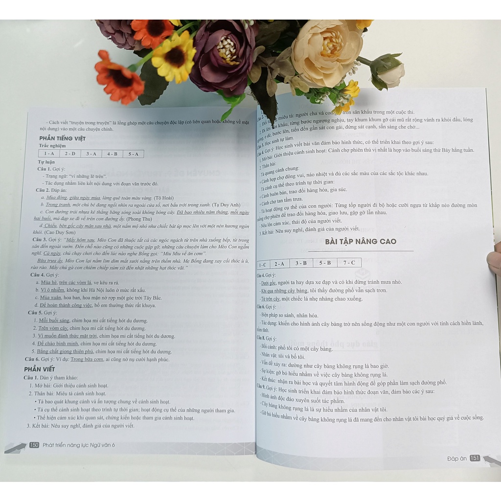Sách - Phát Triển Năng Lực Ngữ Văn 6 - Biên soạn theo chương trình GDPT mới - ndbooks
