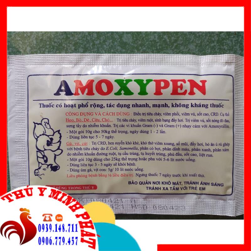 AMOXYPEN AMOX XYPEN GÓI 10g &amp; 50g