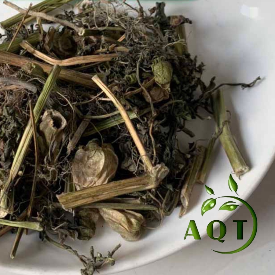 Cây Tầm Bóp 1kg (Thù Lù, Lồng Đèn, Bôm Bốp) Hỗ Trợ Tiểu Đường, Tầm Bóp Khô Đóng Gói Sạch Sẽ