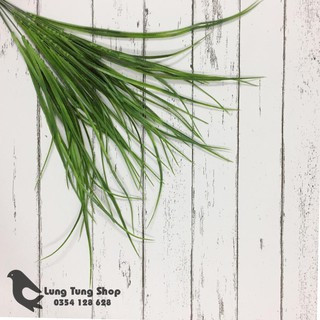Phụ kiện chụp hình sản phẩm - cỏ dài
