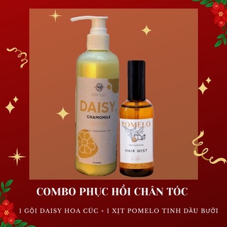 Phục hồi chân tóc - dầu gội cúc la mã daisy và xịt tinh dầu bưởi pomelo