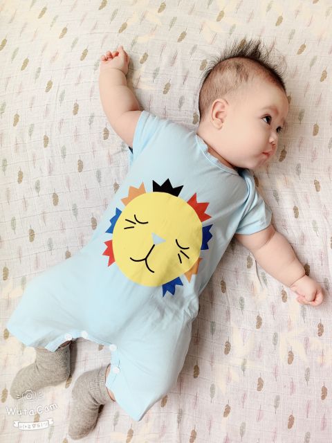 Sỉ lố 50b body đùi hình thú cute chất cotton co dãn mát mịn 3-14kg