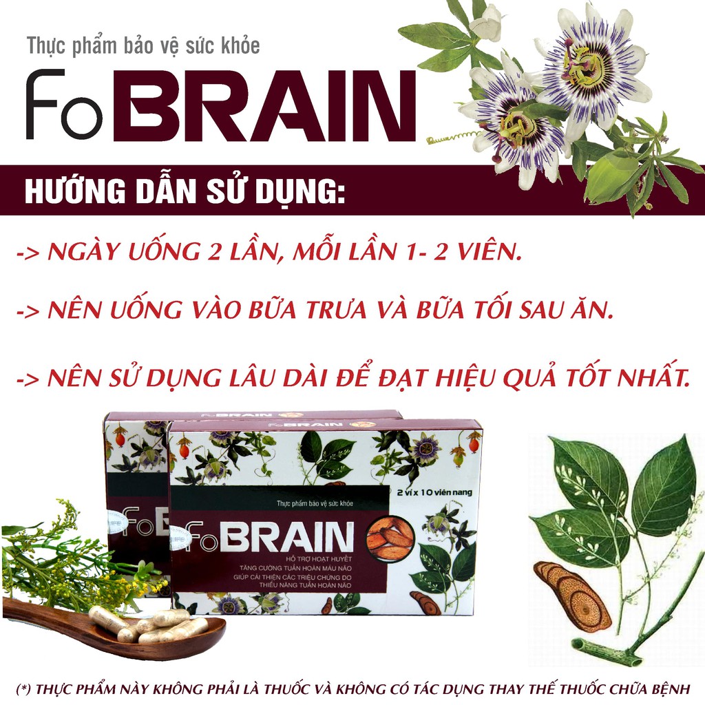 Viên uống FOBRAIN Giảm Rối Loạn Tiền Đình, Tăng Cường Tuần Hoàn Máu Não (Hộp 20/ viên)- Đạt chuẩn GMP