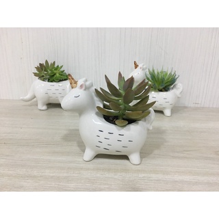 Chậu sứ trang trí hình Kỳ lân
