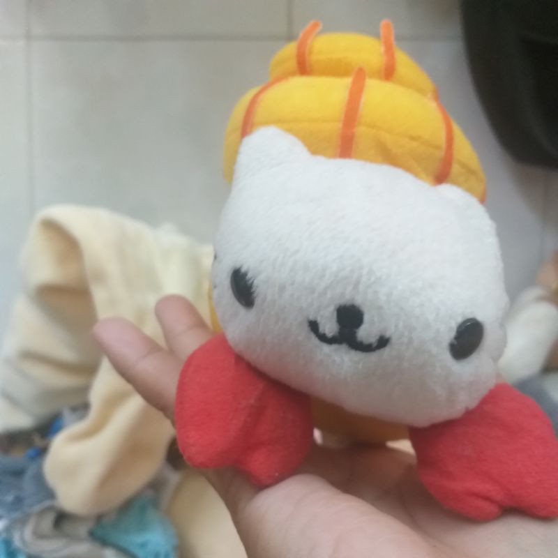 gấu si cua hai vũ