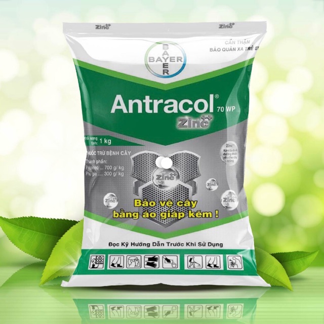 Thuốc Trị Nấm Bảo Vệ Cây Nho. Antracol 70WP