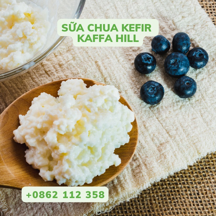Sữa chua Kefir - Chai 500ml - Giảm cân - Giàu dinh dưỡng - ngừa loãng xương - Shopee Kaffa Hill