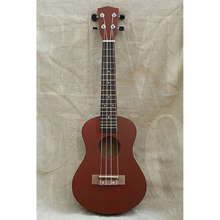 [GIÁ RẺ VÔ ĐỊCH] Đàn Ukulele Concert nhiều màu sắc