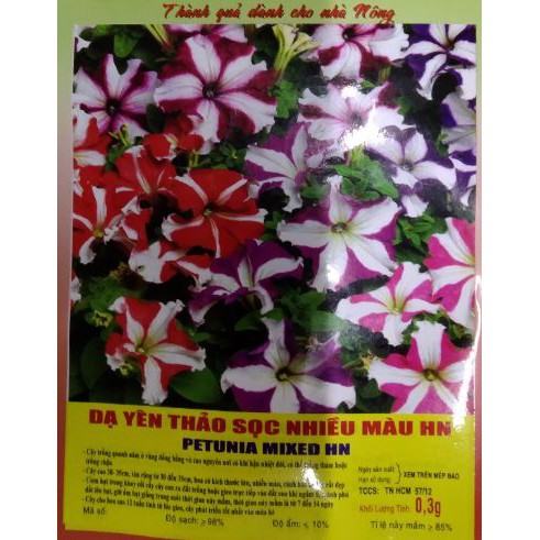 HẠT GIỐNG HOA DẠ YẾN THẢO SỌC NHIỀU MÀU - GÓI 0,3 GRAM