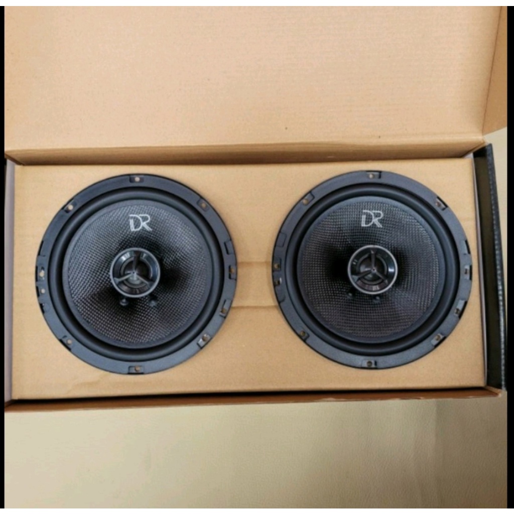 Loa cánh DR E6X-110W