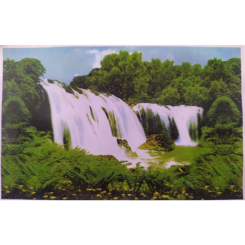 Tranh dán BỂ CÁ GIÁ RẺ. Tranh 2 mặt dán bể cá.