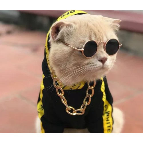 Mắt kính tròn thời trang cho thú cưng(loại nhỏ)