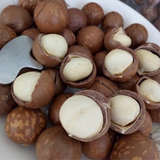 Hạt Macca Đak lak