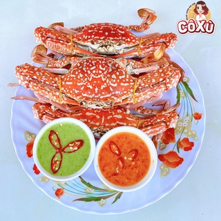 Muối Chấm Hải Sản Ớt Đỏ [Đậm Đà Vị Nhà]