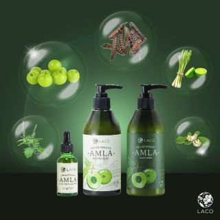 Bộ dầu gội ngăn rụng tóc Amla